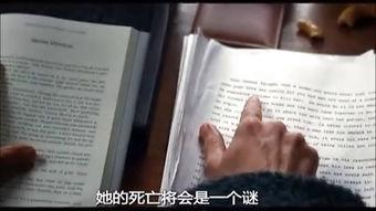 秘窗 在线观看,揭开神秘面纱的悬疑之旅